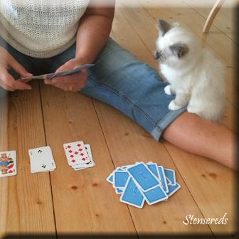 Gamina är gärna med och spelar kort!
